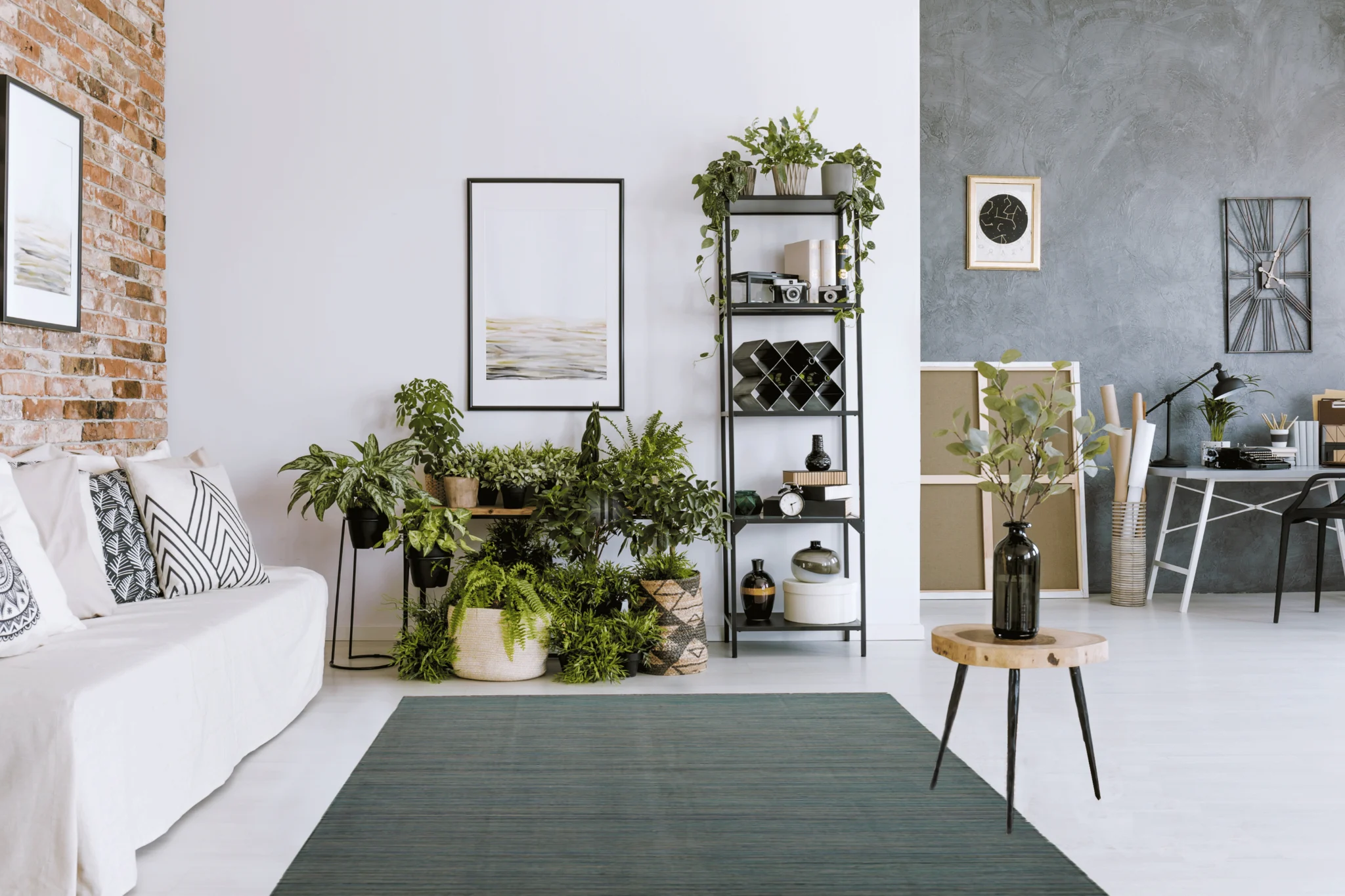 Zargar Rugs collection